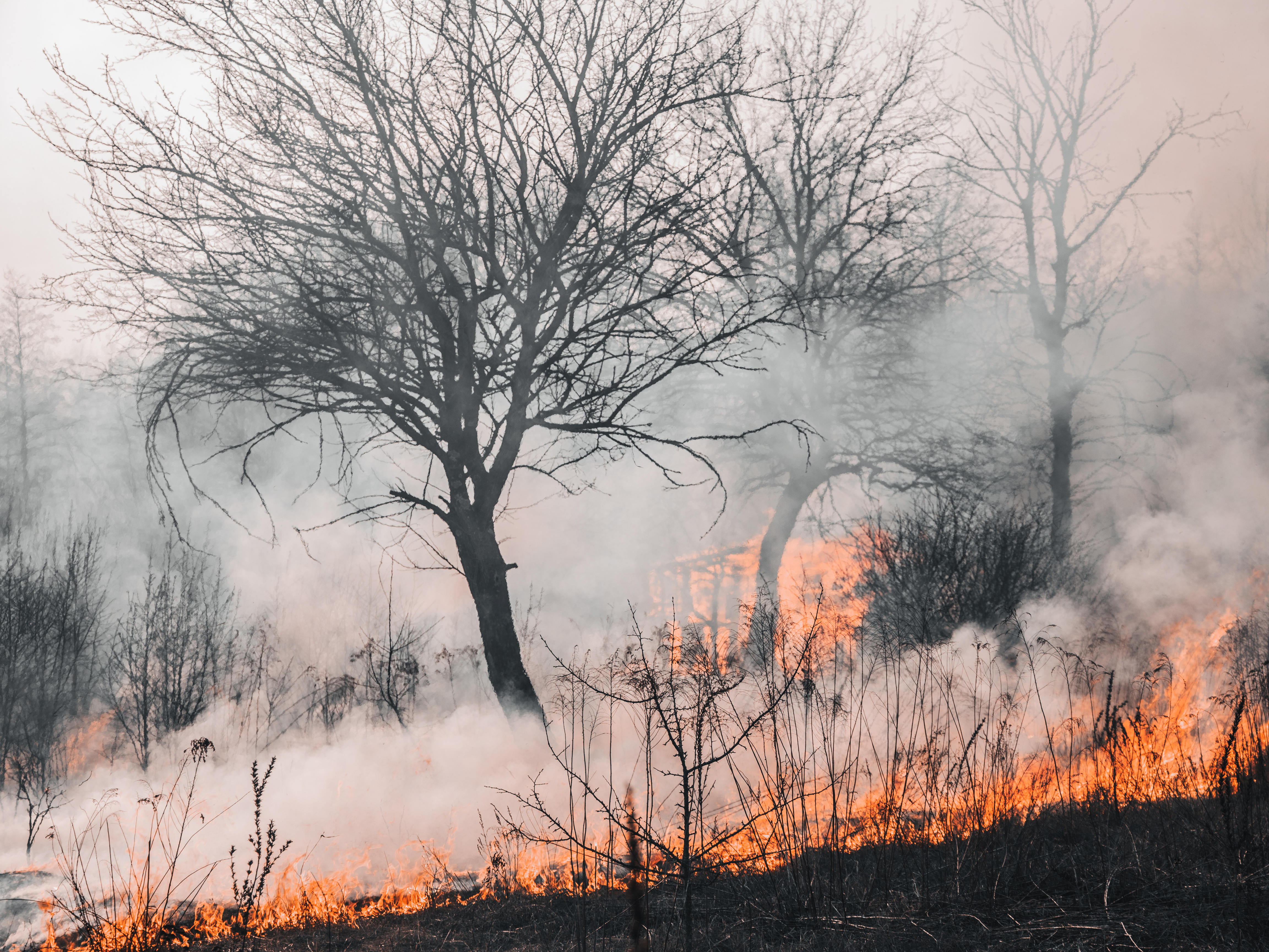 Mortgage Obligations After Natural Disasters